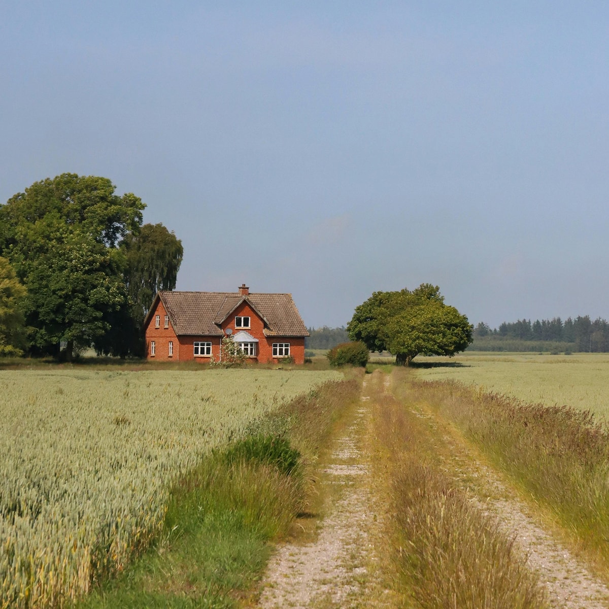 Bolig i naturen
