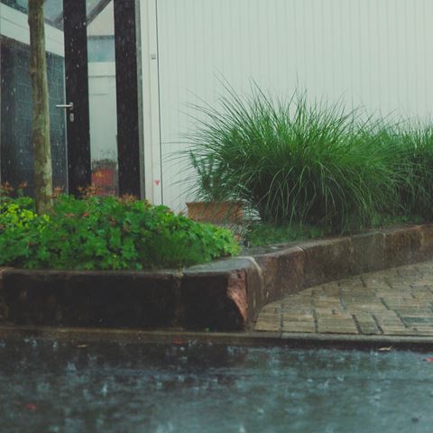 Regn, hus