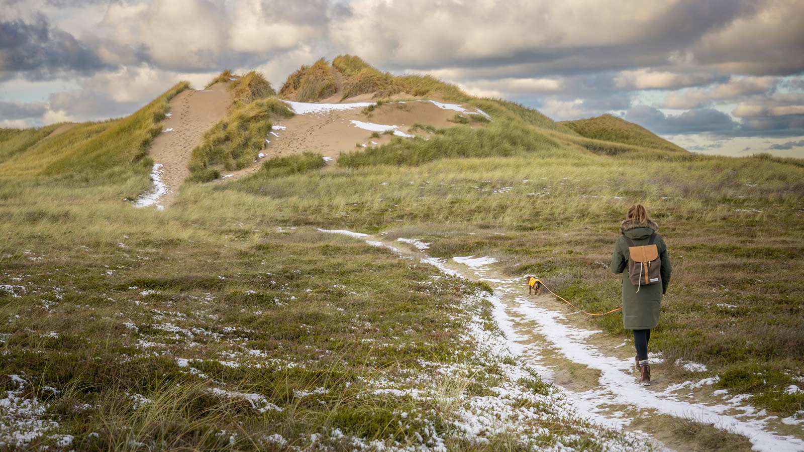 Natur, kvinde med hund i klitter