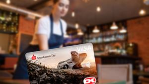 Visa Dankort til erhverv i Sparekassen Thy