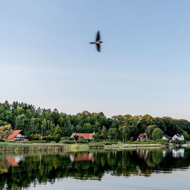 Naturbillede af en fjordbugt med huse og skov i baggrunden
