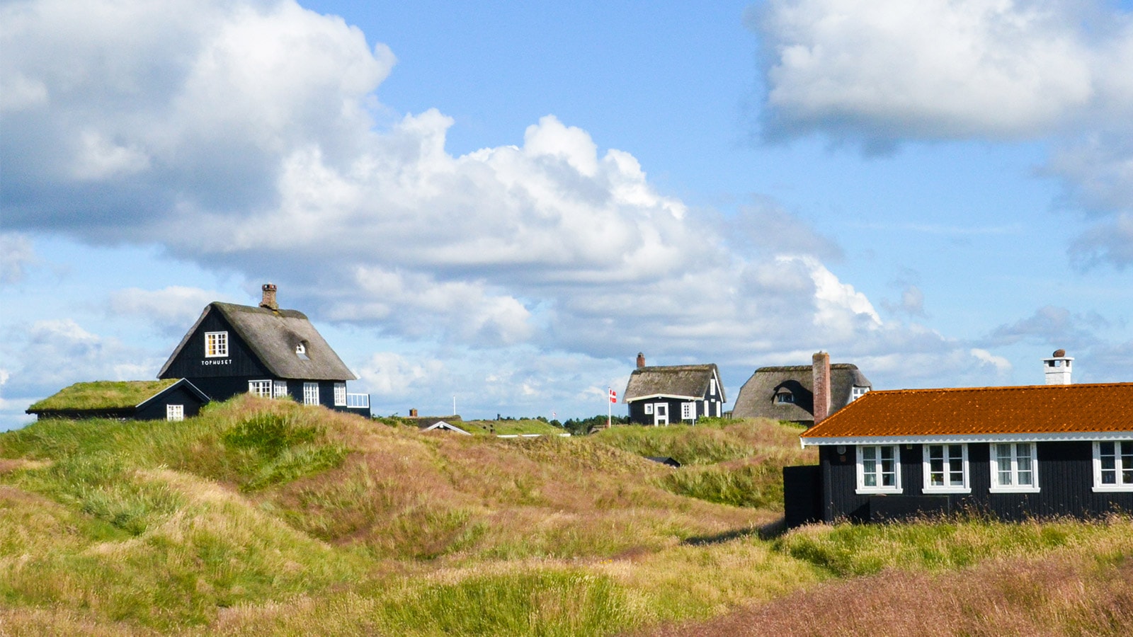 Gode råd til sommerhuskøb Klithede med udsigt til fire sommerhuse